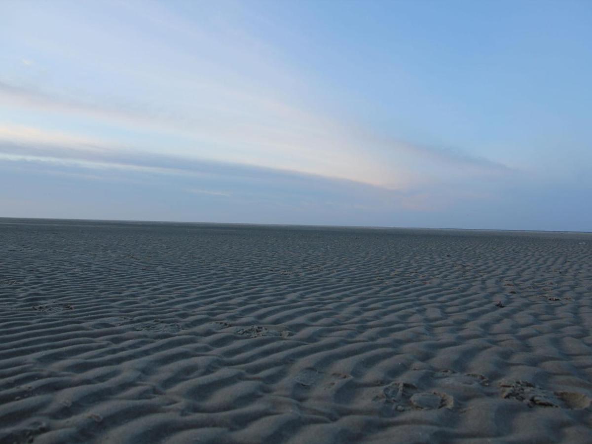 Gorgeous Holiday Home In Texel With Sauna Westermient 외부 사진